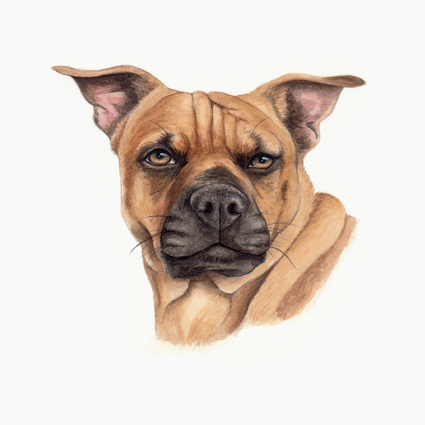 Custom Pet Portrait - Hand Painted Watercolor Commission