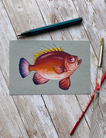 Red Fish Art Print