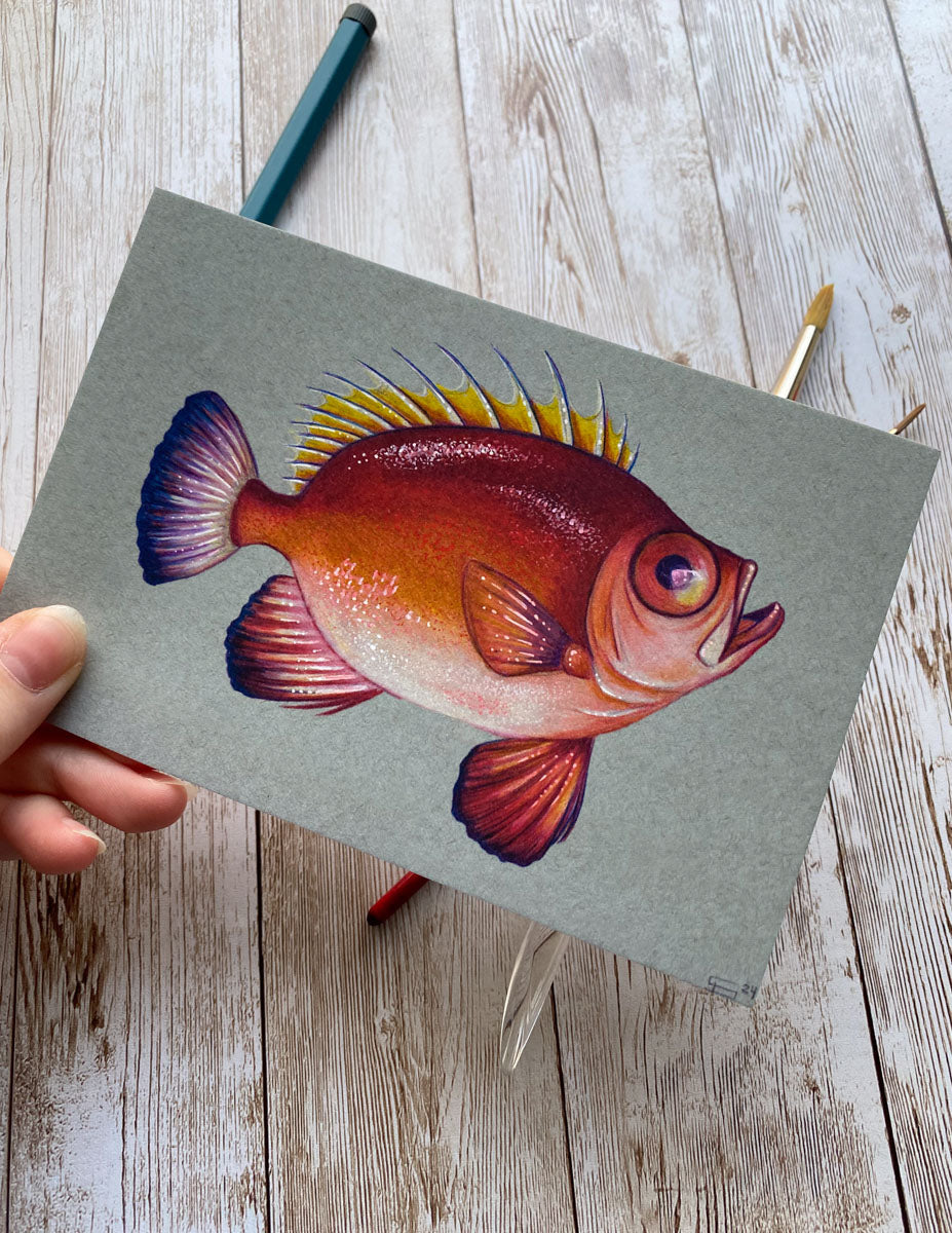 Red Fish Art Print
