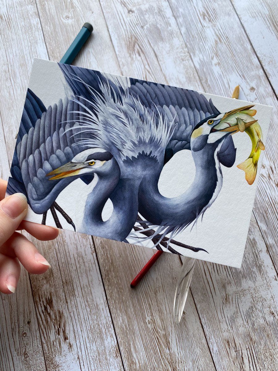 Double Headed Heron Art Print