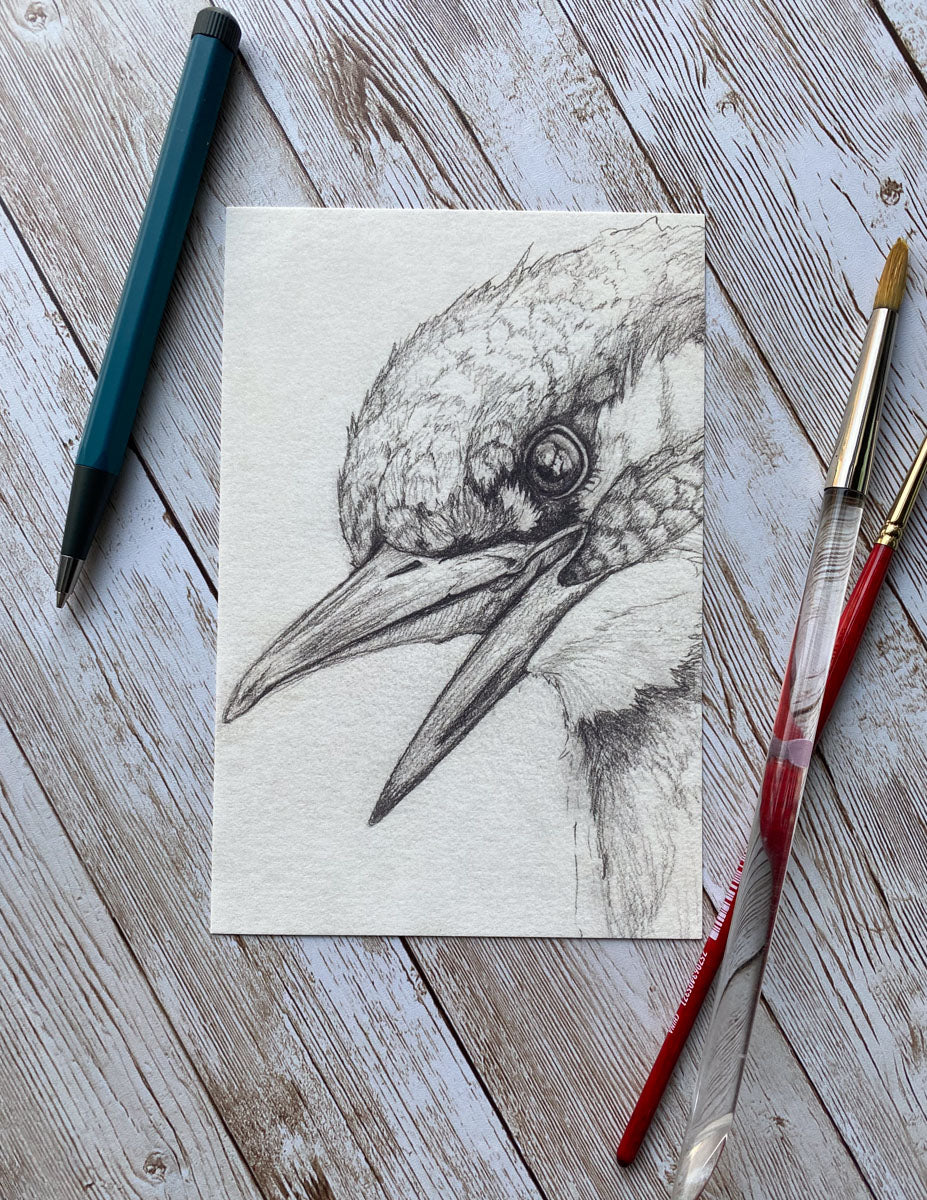 Kingfisher Bird Art Print