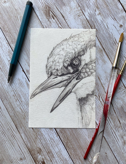 Kingfisher Bird Art Print
