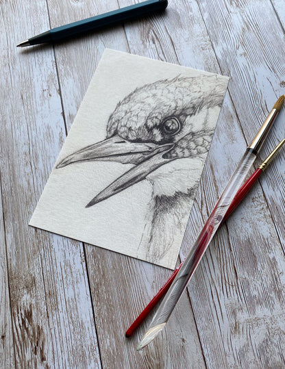 Kingfisher Bird Art Print
