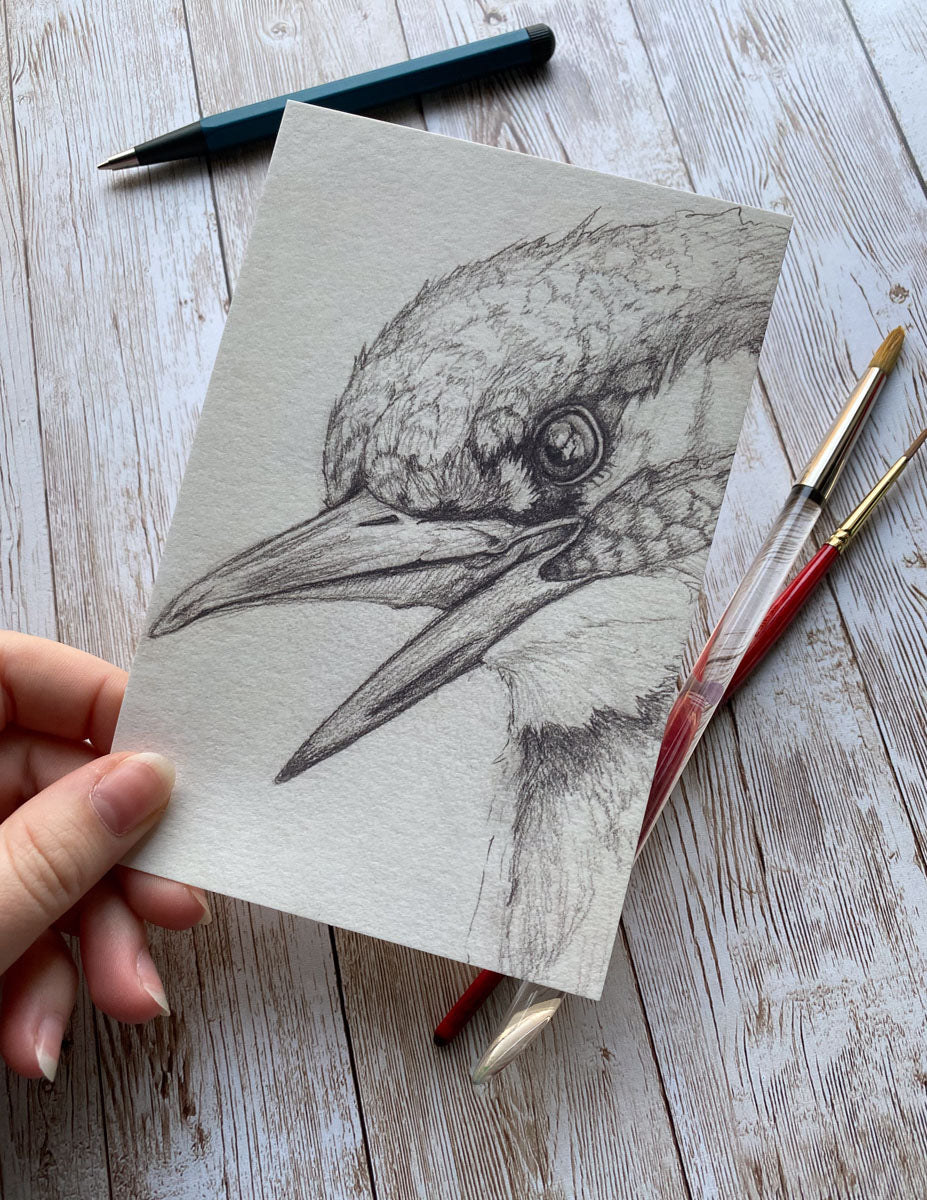 Kingfisher Bird Art Print