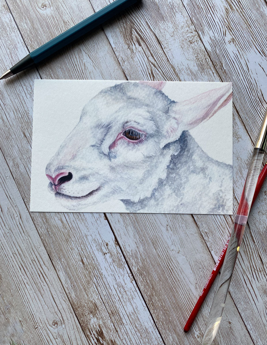 White Lamb Art Print