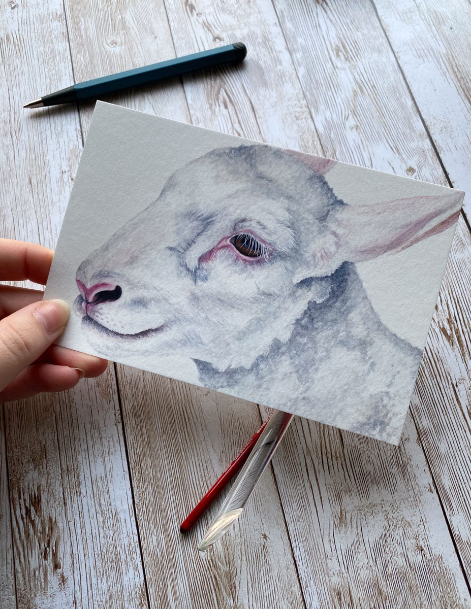 White Lamb Art Print