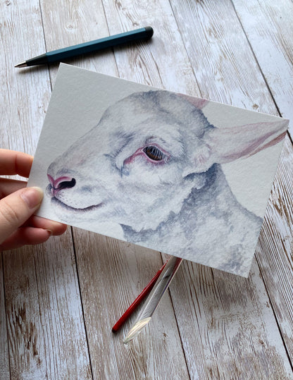 White Lamb Art Print