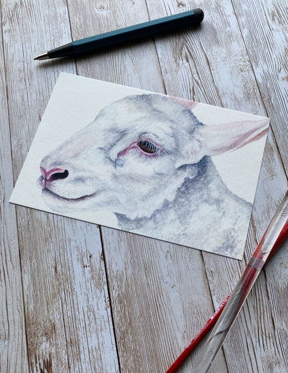 White Lamb Art Print