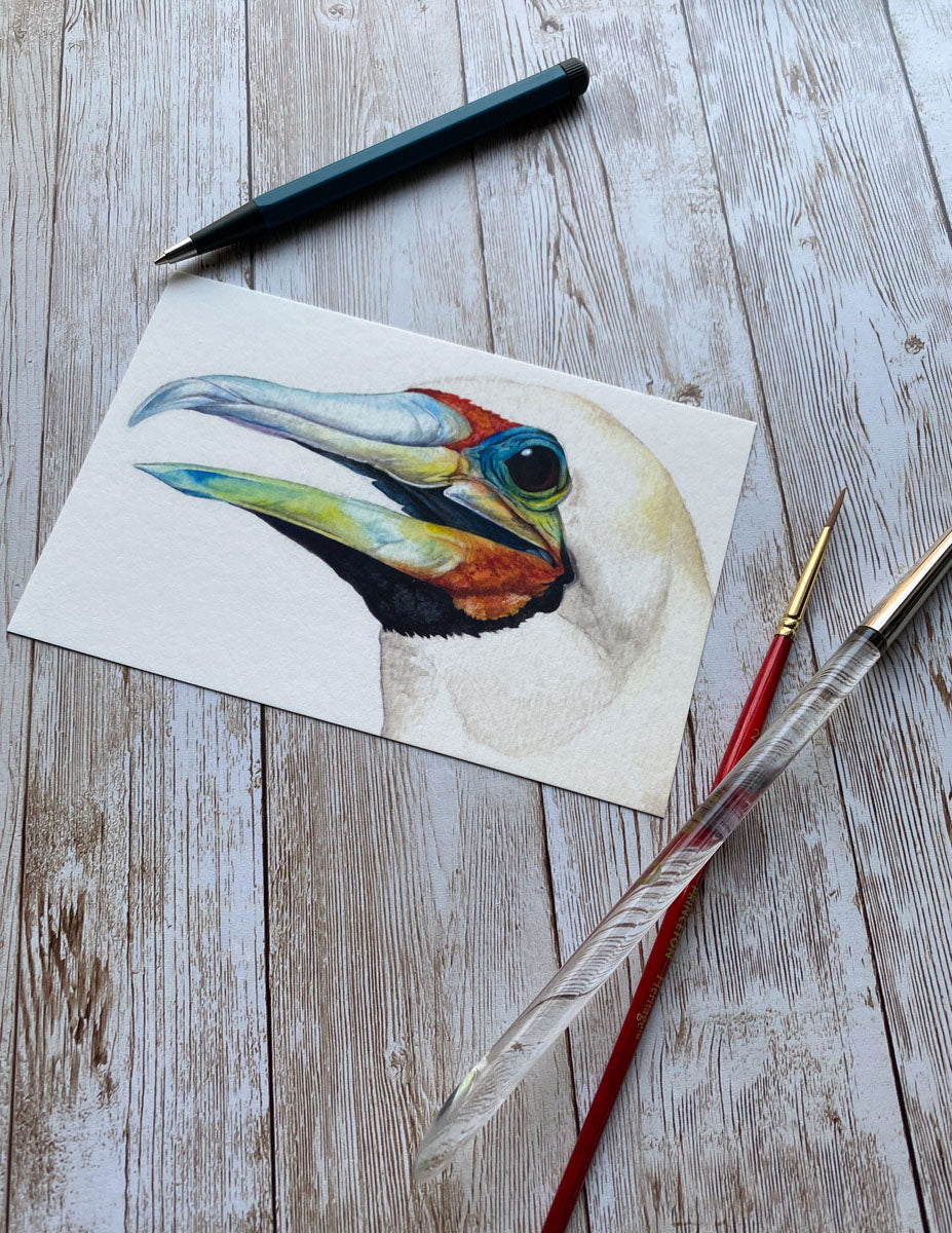 Red Footed Booby Bird Art Print