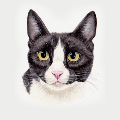 Custom Pet Portrait - Hand Painted Watercolor Commission