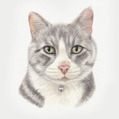 Custom Pet Portrait - Hand Painted Watercolor Commission