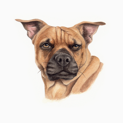 Custom Pet Portrait - Hand Painted Watercolor Commission