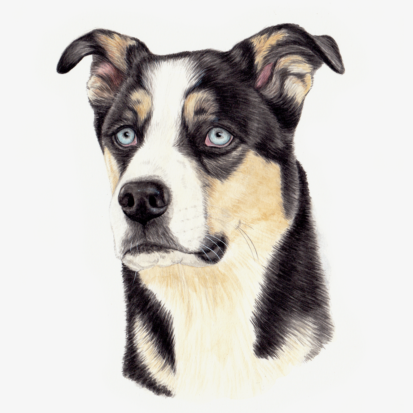 Custom Pet Portrait - Hand Painted Watercolor Commission